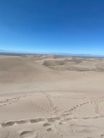 View from the top with Star Dune in the distance