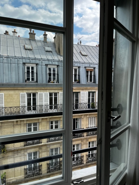 Parisian rooftop views
